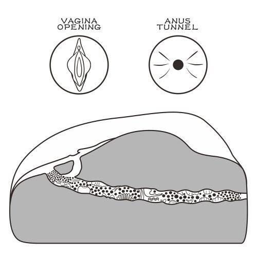 Vagina Artificiale Streetgirl One thumbnail 3